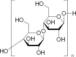 B-1,4-葡聚糖葡糖苷水解酶